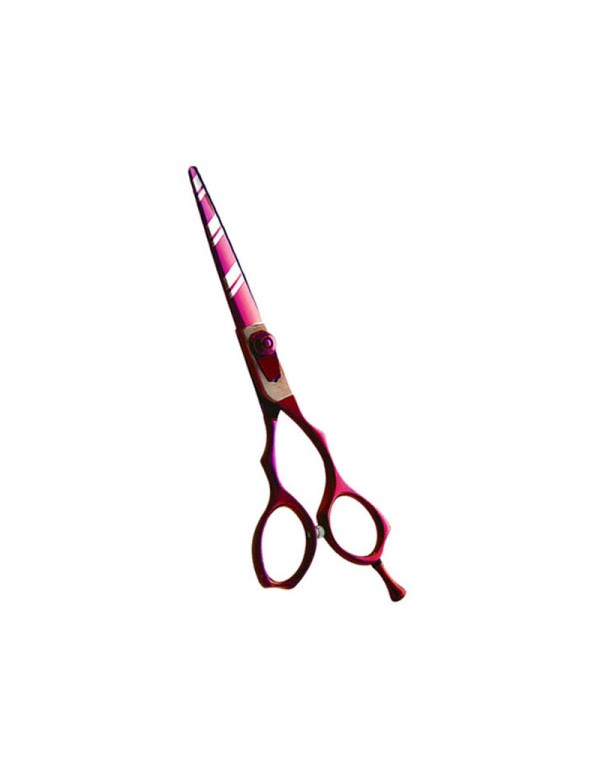 Professional Hair Cutting Scissors