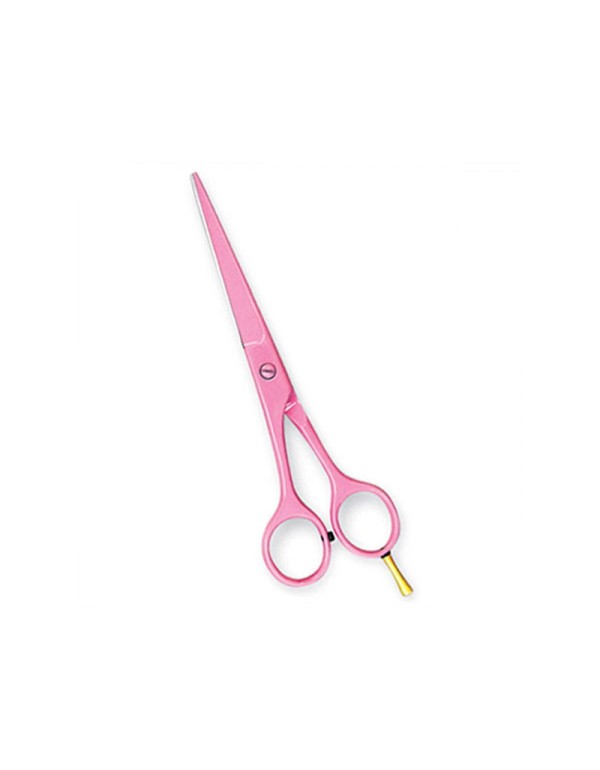 Professional Hair Cutting Scissors