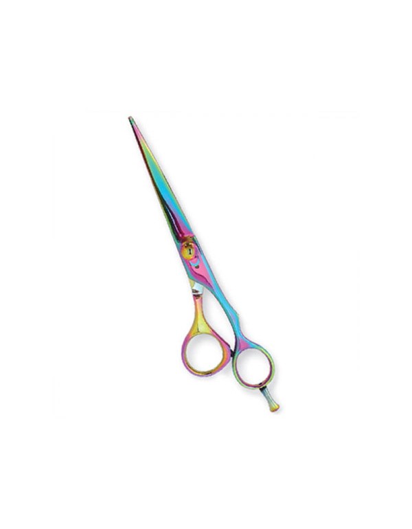 Professional Hair Cutting Scissors